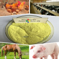 99%tc veterinary medicines powder of poultry medicine for horses and cattle doxycycline